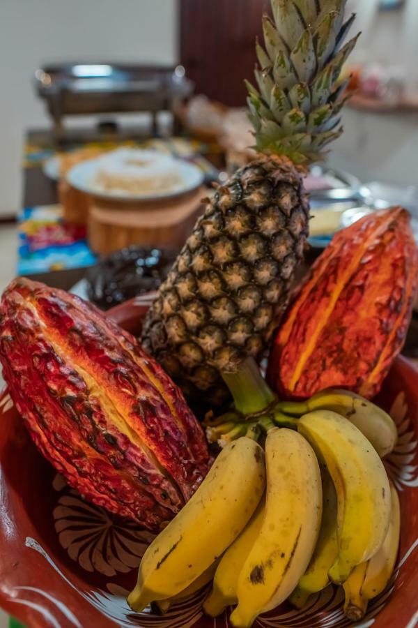 Pousada Bambu Itacaré المظهر الخارجي الصورة
